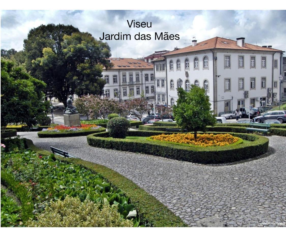 Appartement Quinta Monteluz à Viseu Extérieur photo